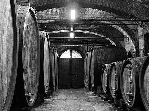 Wine Tour nelle Langhe