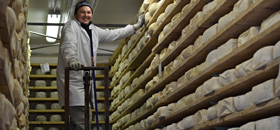 Formaggio Castelmagno