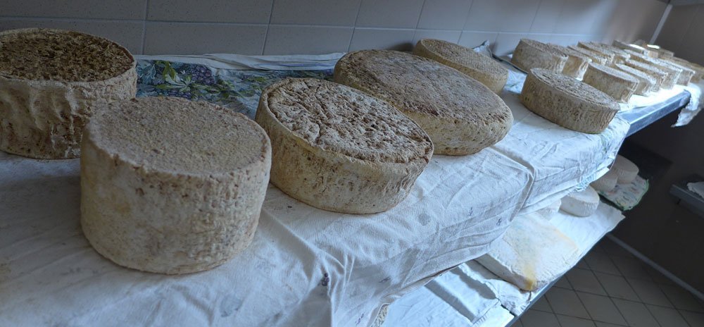 cascina amaltea