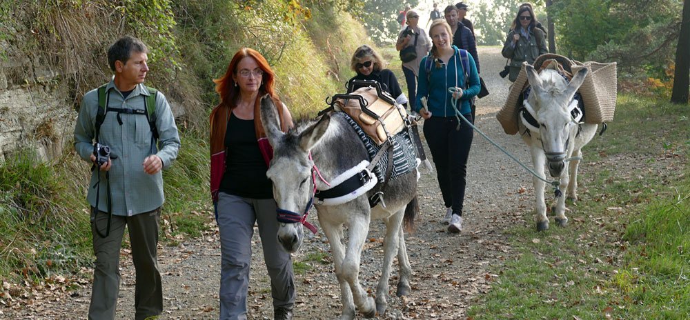 trekking con l'asino