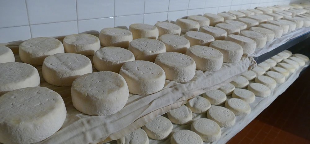 formaggi alta langa