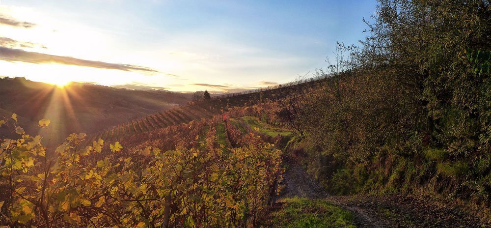 Langhe