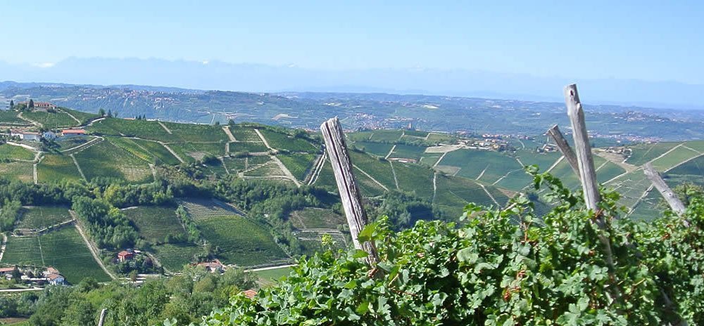 langhe del moscato