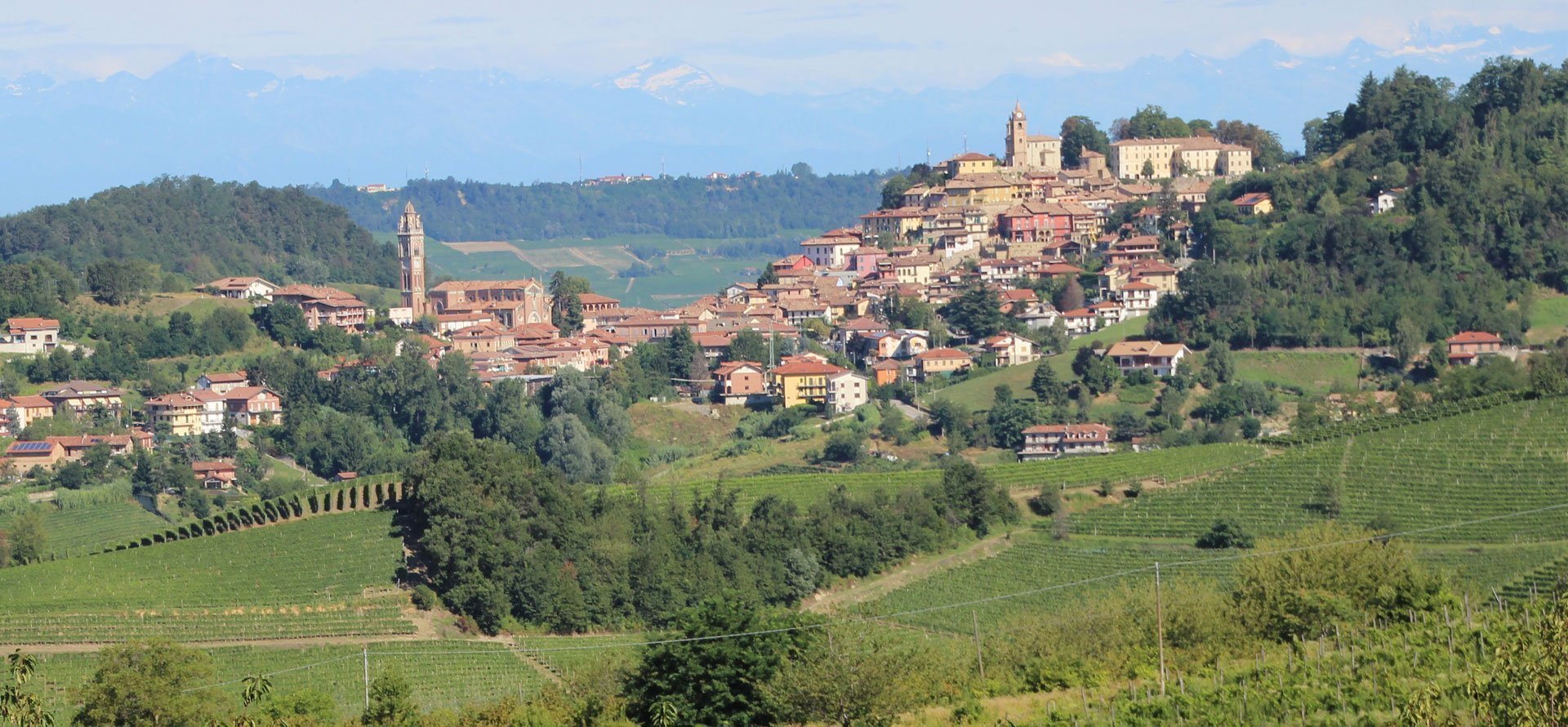 monforte d'alba
