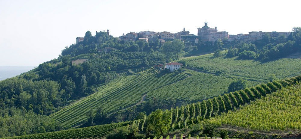 Novello