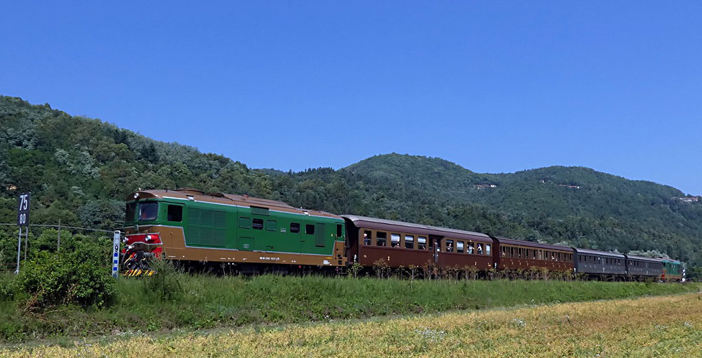 Treno Diesel D 345