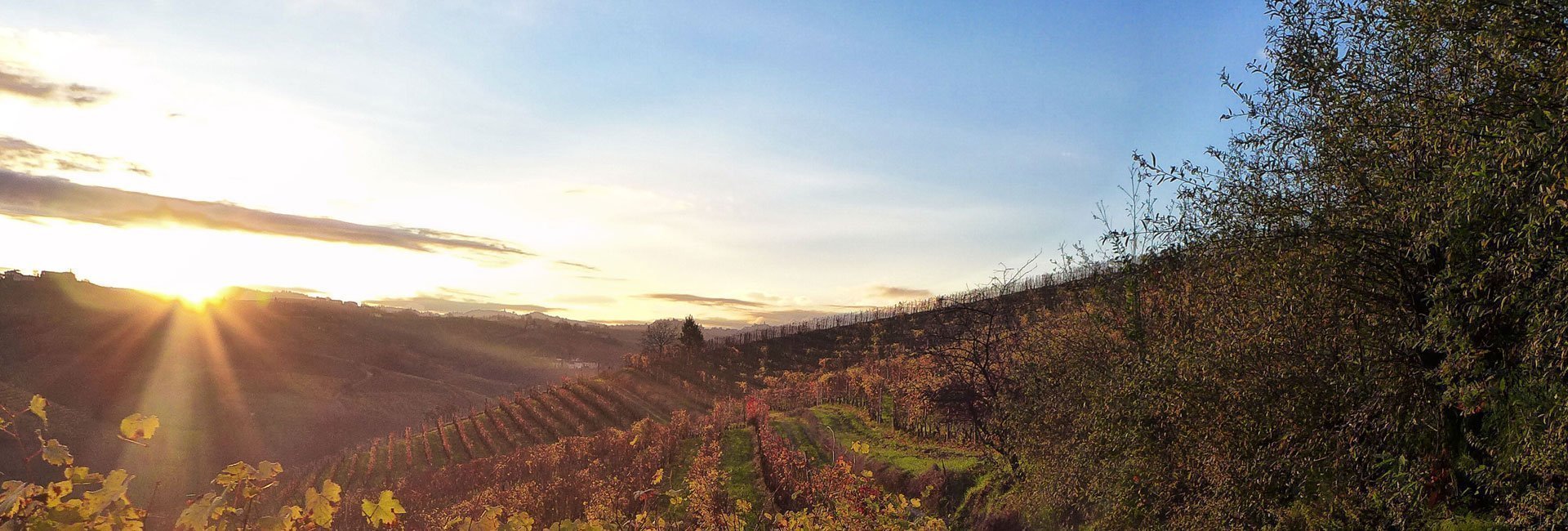 langhe